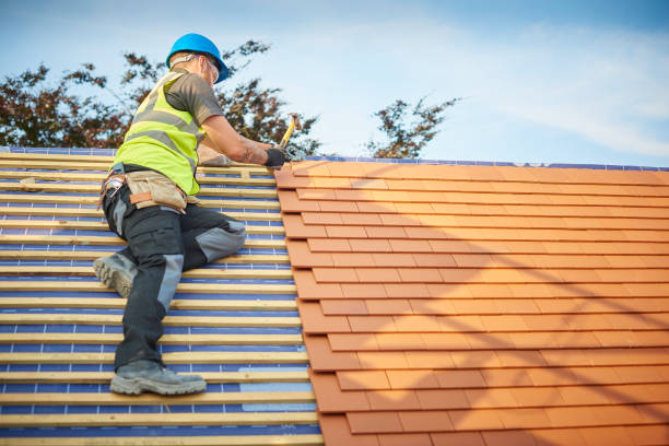 Best Roof Moss and Algae Removal  in South Williamsport, PA